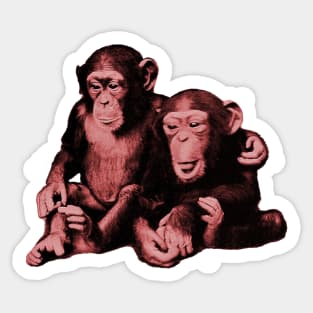 Two baby chimps monkey brothers hugging Sticker